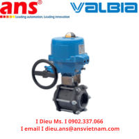 84DA0010- Valbia Vietnam